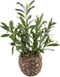 Indoor Fake Olive Plants 17.7 inches Tall Lifelike Artificial Olive Plants with Cyan Fruits in Brown Rattan Planter for Shelf Office Desk Kitchen Counter Small Space Artificial Plant Decor