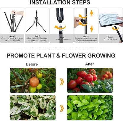 3Head Grow Light with Stand, 75 Watt Bright Enough and Big Coverage, Natural Sunlight Full Spectrum Plant Growing Lamps for Tall&Large Indoor Plants, Bonsai Tree, 4/8/12/16/20H 5-Mode Timer