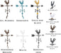 Most Color Options - Aluminum Rooster Weathervane - Made in The USA - Chicken weathervane - Rooster Decor - Rooster Weathervane for Roof - Roof Mount Included (4 to Choose from)