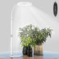 bseah Grow Light, LED Plant Light for Indoor Plants Growing, Full Spectrum Desk Grow Lamp with Pedestal, Automatic Timer for 3H/9H/12H, 10 Dimmable Levels (White)