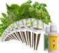 LYKOCLEAN Herb Pod for AeroGarden, idoo, Ahopegarden Hydroponics, 350+, Include Basil, Parsley, Mint, Cilantro(12-pods)