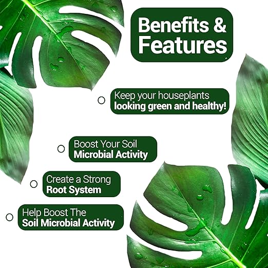 Elm Dirt Kelp Mist 100% Organic Plant Spray - Foliar Spray for Plants Food Indoor House Plants & Outdoor Plant Food | Help Plant Nutrients Efficiently & Boost Soil Activity - Kelp Foliar Mist (16 oz)