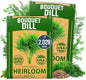 HOME GROWN Dill Seeds 2 Pack (Anethum Graveolens) - 2028 Non-GMO Heirloom Herb Seeds for Planting Indoors or Outdoors, High Germination, Ideal for Herb Gardens, Pots, and Cooking Flavorful Dishes