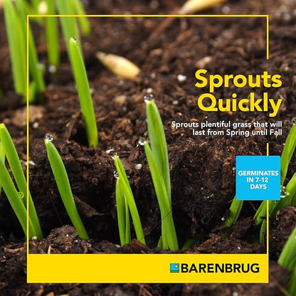 Barenbrug Wonderlawn Sun and Shade Grass Seed Mix for Lawn Care and Landscaping, 3 lbs. Bag