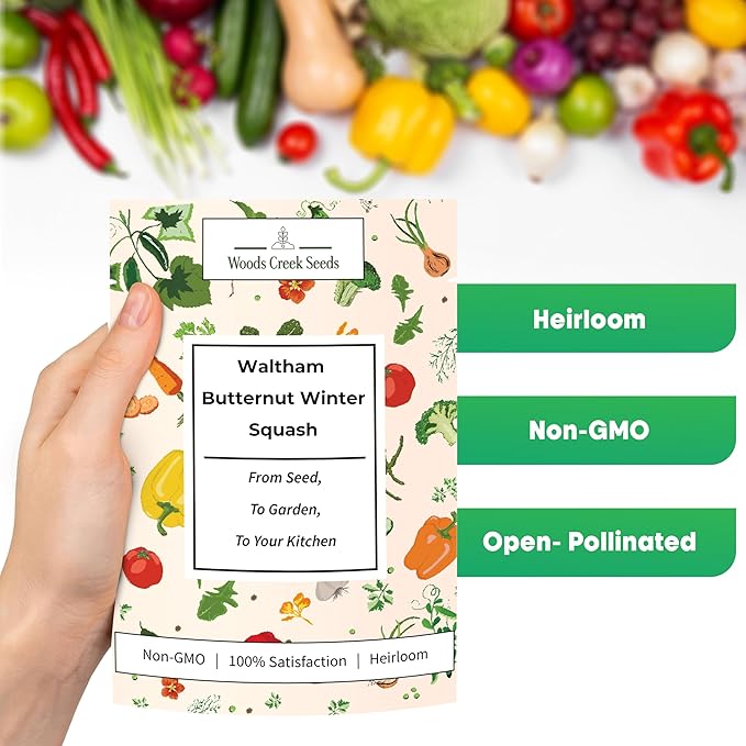 Woods Creek Seeds: Waltham Butternut Winter Squash Seeds for Planting - Over 75 Heirloom Non-GMO Butternut Squash Seeds for Planting Outdoors or Indoors - Beginner Friendly & High Yield Seed