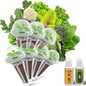 inbloom Salad Green Seed Pod Kit for AeroGarden, Ahopegarden, GARDENCUBE, MUFGA, 7 Pods (350+ Seeds with American Fast/Paris Island/Buttercrunch Lettuce, Swiss Chard, Spinach, Cauliflower, Cabbage)