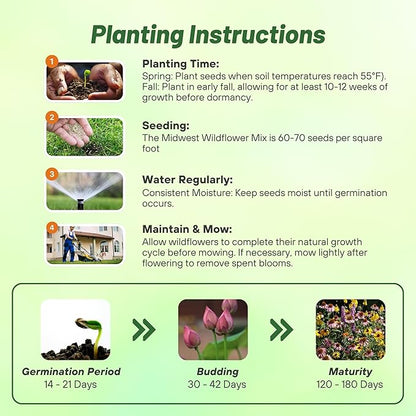 Outsidepride Midwest Wildflower Seed Mix - 5 Lbs Premium Blend of Annual & Perennial Native Wildflower Seeds for Midwestern States, Attracts Pollinators, Low-Maintenance, Ideal for Meadows & Gardens