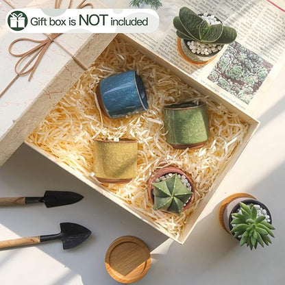 T4U 2.5 Inch Small Ceramic Succulent Planter Pot with Drainage Hole Set of 6, Ice Crack Glaze Plant Container for Cactus, Succulent Plant Gifts for Women Mom Aunt Home Office Decor