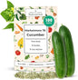 Marketmore 76 Cucumber Seeds for Planting - Heirloom Cucumber Seed Pack - Non-GMO, Crisp Texture Pickling Cucumbers for Planting Indoors or Outdoors - Vegetables Seeds for Planting
