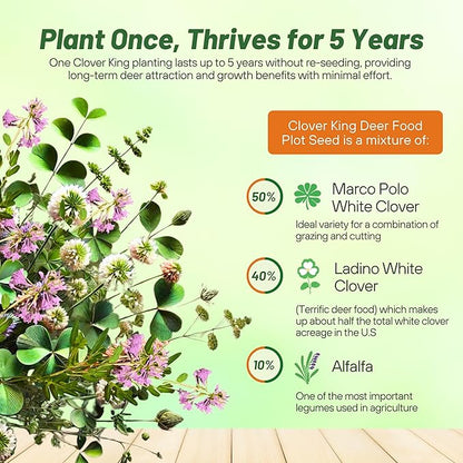 Outsidepride Perennial Clover King Seed Mix - 10 lbs Nitrocoated, Inoculated, Heat & Cold Tolerant, Alfalfa-Enhanced Food Plot Seeds for Deer & Wildlife, Ideal for Spring, Summer, & Winter Plots