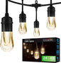 Enbrighten LED Outdoor String Lights 48ft Soft Warm White Patio Lights with Ultra-Durable Shatterproof and Waterproof Acrylic Bulbs for Balcony, Backyard, Porch, Gazebo, Deck, Party and Market, 35631