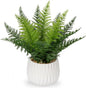 DILATATA Faux Plant Indoor in Ceramic Pot 13" Artificial Potted Fern Fake House Plants for Desk Office Bathroom Garden Decoration