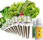 LYKOCLEAN Salad Buttercrunch Lettuce Seeds for AeroGarden, iDOO, Ahopegarden Hydroponics Growing System, 7-pods, 350+ Seeds (Include Spinach, American Fast Lettuce,Paris Island Lettuce, Cauliflower)