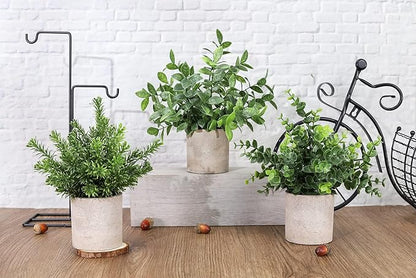 Der Rose 3 Pack Mini Potted Fake Plants Artificial Plastic Eucalyptus Plants Centerpieces for Table Home Office Desk Accessories Farmhouse Room Classroom Decor