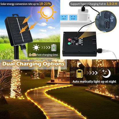Solar Rope Lights Waterproof 65FT 200LEDs,High Capacity Rechargeable Battery,Dual Charging,Outdoor String Light,Remote-Control,for Pathway Patio Garden Palm Tree Christmas (Brighter - Warm White)