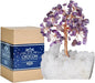 Amethyst Crystal Tree of Life with White Aura Base – Gemstone Tree for Shelf & Home Bedroom Decor – Crystals and Healing Stones, Cute Purple Birthday Gifts & Housewarming Gifts for Women Mom Sister