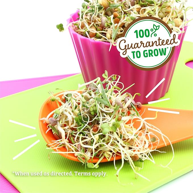 Back to the Roots 100% Organic 5-Part Salad Seeds | 1 Pound Non-GMO | Nutrient Dense, Easy to Grow, Rich in Fiber