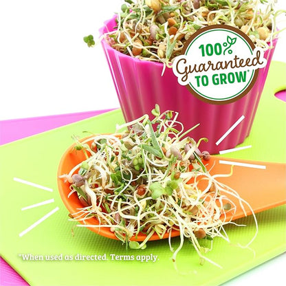Back to the Roots 100% Organic 5-Part Salad Seeds | 1 Pound Non-GMO | Nutrient Dense, Easy to Grow, Rich in Fiber