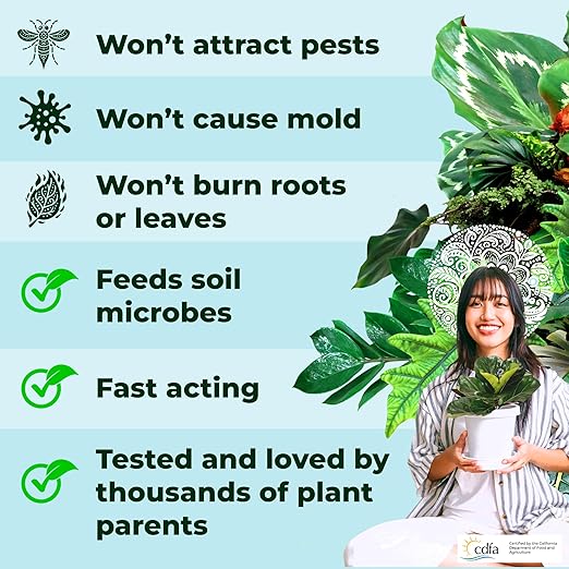 Big Green Leaves Indoor Plant Food - House Plant Fertilizer - Fast Acting Minerals +Superfood Sea Kelp | 4X More Concentrated Than Liquid Plant Food (1LB)