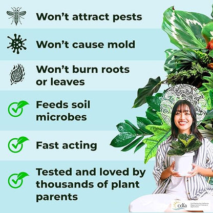 Big Green Leaves Indoor Plant Food - House Plant Fertilizer - Fast Acting Minerals +Superfood Sea Kelp | 4X More Concentrated Than Liquid Plant Food (1LB)