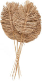 Deco 79 Dried Plant Home Decor Natural Foliage Tall Spear Natural Dried Foliage with Sharp Stems, Foliage for Decoration 17" x 7" x 32", Brown