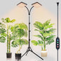 FRGROW 2026 2Head Grow Light with Stand, 50 Watt Power Draw, Big Coverage and Bright Enough for Indoor Large and Tall Plants, Bonsai Tree, 40"-64" Height Adjustable