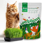 Cat Grass Seed Mix – 4 oz Pack with 5,200 Non-GMO Heirloom Seeds for Cats, Barley, Oat, Rye & Wheatgrass for Indoor Growing, Fresh Pet Grass for Digestion & Hairball Control