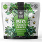 Big Green Leaves Indoor Plant Food - House Plant Fertilizer - Fast Acting Minerals +Superfood Sea Kelp | 4X More Concentrated Than Liquid Plant Food (1LB)