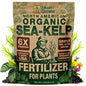 Organic Sea Kelp Fertilizer for Plants – Water-Soluble – Makes 50 Gallons – Kelp Meal Concentrate Plant Food – for Indoor Gardens, Hydroponics, Vegetables, Houseplants - Smart Grower - 2oz Bag