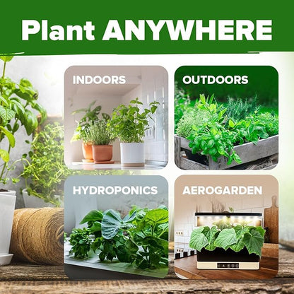 HOME GROWN 15 Herb Seeds for Planting 4,500+ Non-GMO Heirloom Seeds | Extra Large Variety Pack Herb Kit – Indoor Outdoor & Hydroponic | Culinary Seed Set | Grow Your Own Herbs | Gardening Gift
