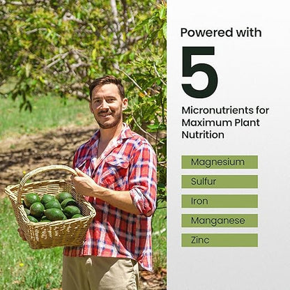 16oz Fruit Tree Fertilizer for Avocados - Makes 32 Gallons of Avocado Tree Fertilizer, Premium Water-Soluble Avocado Plant Food, Rich with Micronutrients for Consistent Lush Growth & Abundant Harvest