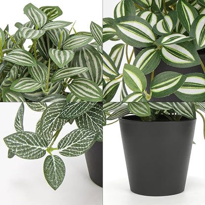 Hollyone Fake Plants 3 Packs Artificial Plants Indoor Faux Plants with Black Plastic Pot Small Fake Potted Plant for Home Aesthetic Living Room Bathroom Desk Shelf Office Decor