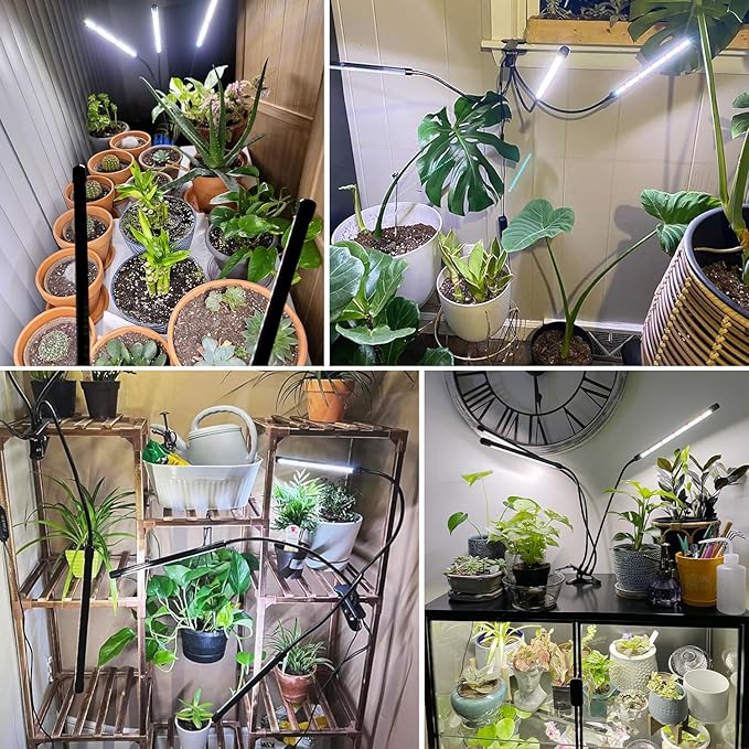 wolezek Grow Lights for Indoor Plants, 2 Pack 6000K Full Spectrum Plant Lights Indoor, White LED Plant Growing Lamp with Auto ON & Off Timer 6/12/16H, 3 Modes, 5-Level Dimmable Brightness