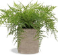 Hollyone Small Fake Plant Potted Plants Artificial Decor Silk Ferns Plant Faux Plants in Pots for Home Living Room Bedroom Desk Bathroom Window Shelf Farmhouse Decoration