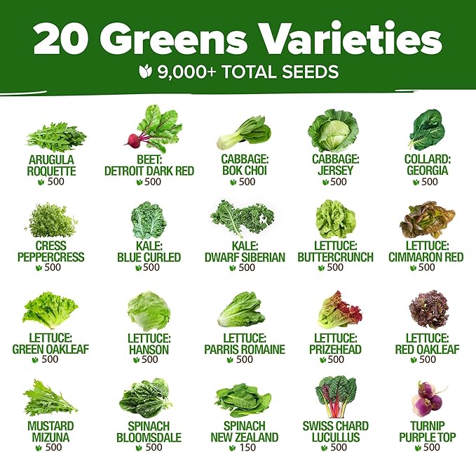 HOME GROWN 21,600+ Lettuce Seeds for Planting - 20 Heirloom Varieties, Non-GMO USA - Romaine, Butterhead, Iceberg, Leaf Lettuce, Spinach & Kale - Indoor, Outdoor & Hydroponic Garden Kit