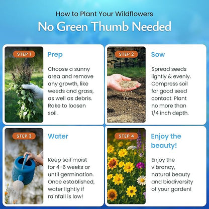 Created By Nature Deer-Resistant Wildflower Seed Mix, 17 Flower Varieties, 44,000 Seeds