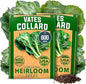 HOME GROWN Collard Green Seeds - 2 Pack - 600 Seeds for Fall Planting - High Germination Heirloom Vegetable Seeds,Vates Collard Greens Seed Pack(Brassica oleracea)