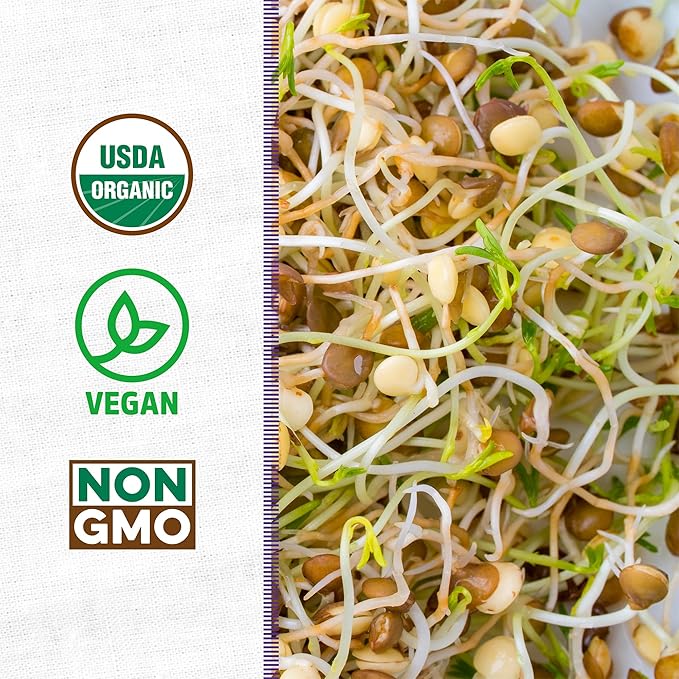 Back to the Roots 100% Organic 5-Part Salad Seeds | 1 Pound Non-GMO | Nutrient Dense, Easy to Grow, Rich in Fiber