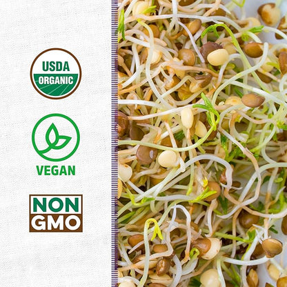 Back to the Roots 100% Organic 5-Part Salad Seeds | 1 Pound Non-GMO | Nutrient Dense, Easy to Grow, Rich in Fiber