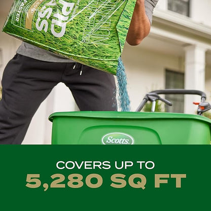Scotts Turf Builder Rapid Grass Southern Gold Blend for Tall Fescue Lawns, Combination Seed and Fertilizer, 16 lbs.