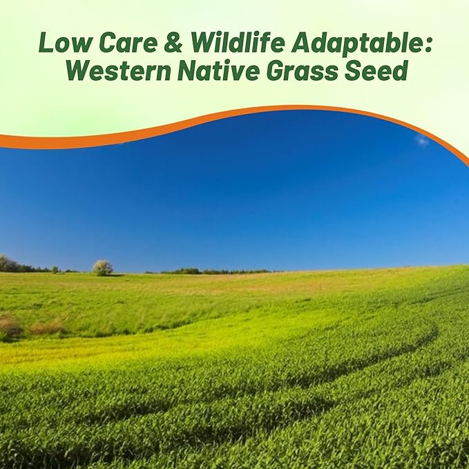 Outsidepride Western Native Grass Seed Mix - 5 lbs. Perennial Blend of Warm & Cool Season, Drought Tolerant Grass Seed for Natural Landscaping w/Wildflower, Soil Health Improvement & Erosion Control