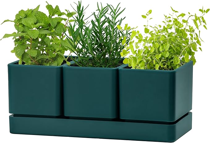 D'vine Dev Herb Garden Planter Set, Plastic Plant Pots with Drainage and Saucer, Indoor Succulent Cactus Vegetable Pot for Windowsill, Garden Balcony, Green, Set of 1, 76-V-C-1