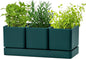 D'vine Dev Herb Garden Planter Set, Plastic Plant Pots with Drainage and Saucer, Indoor Succulent Cactus Vegetable Pot for Windowsill, Garden Balcony, Green, Set of 1, 76-V-C-1