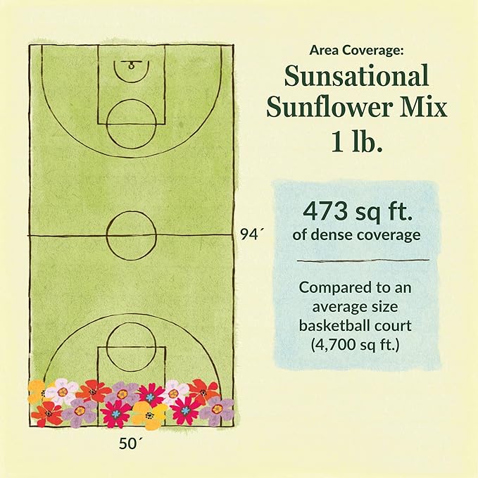 Ferry-Morse Sunsational Sunflower Bulk Flower Seeds, 1lb