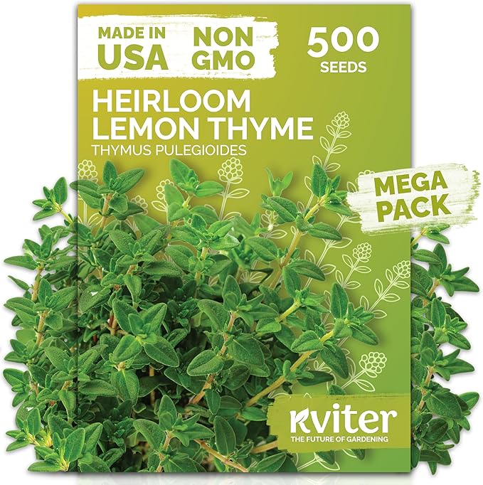 KVITER 500 Lemon Thyme Seeds for Planting (Thymus Pulegioides) – Wild Creeping Thyme Seeds Ground Cover, Aromatic & Drought-Tolerant Herbaceous Flower – Ideal for Walls, Fences & Herb Garden