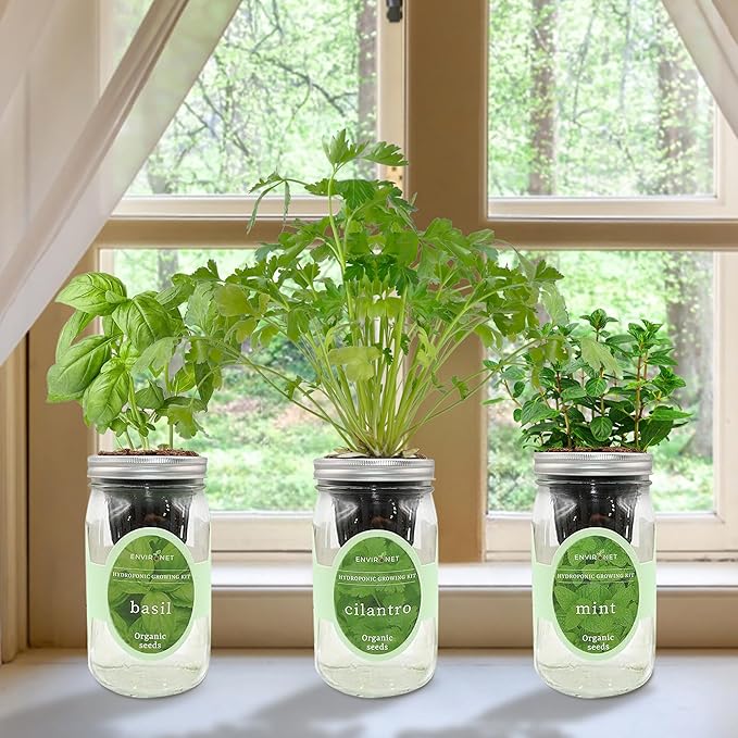 Hydroponic Herb Growing Kit Set, Self-Watering Mason Jar Herb Garden Starter Kit Indoor, Window Herbs Garden, Grow Your Own Herbs from Organic Seeds (Basil, Cilantro and Mint)