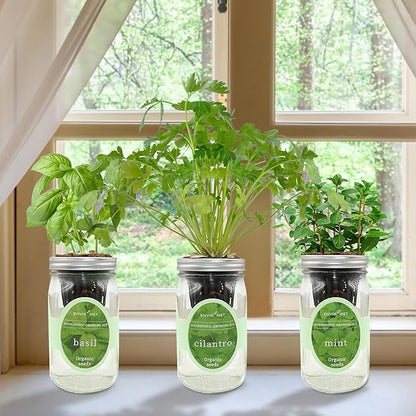 Hydroponic Herb Growing Kit Set, Self-Watering Mason Jar Herb Garden Starter Kit Indoor, Window Herbs Garden, Grow Your Own Herbs from Organic Seeds (Basil, Cilantro and Mint)