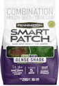 Pennington Smart Patch Dense Shade Mix 10 lb