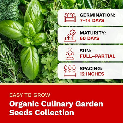 The Harvest Company Organic Culinary Garden Seed Collection, Non-GMO, Certified USDA Organic, Open-Pollinated Garden Herb Seeds for Indoor Outdoor Planting, 145 Seeds Total