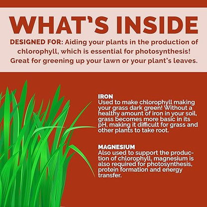 Bloom City's Organic Liquid Iron - Liquid Iron for Lawn - Chelated Iron for Plants, 1/2 Pint (8 oz)